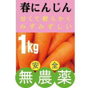 楽天市場 にんじん 人気ランキング1位 売れ筋商品 楽天市場 にんじん 人気ランキング1位 売れ筋商品